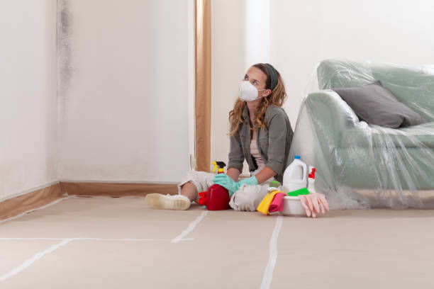 Reliable Mold Testing contractor in Magnolia, NC by WQB Mold Removal